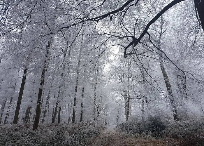 Cozy & Ideal Closed Garden Emeville